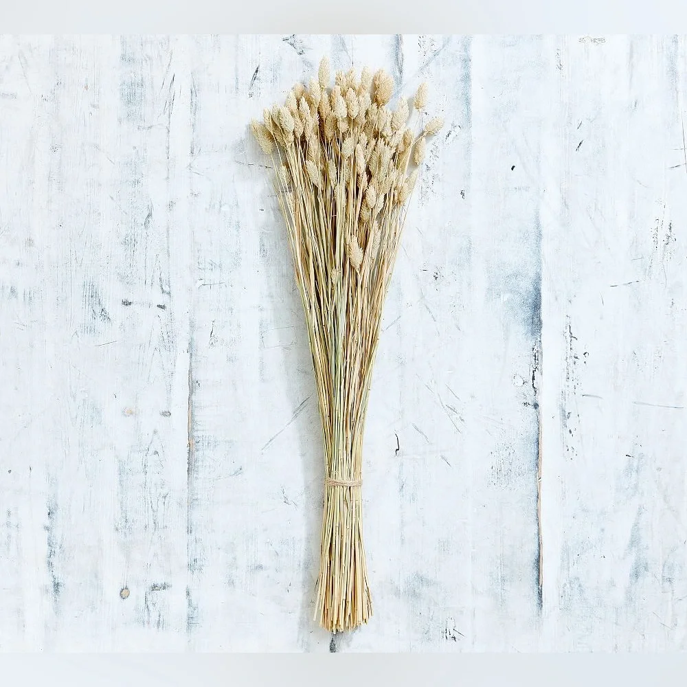 Faux Dried Phalaris Bundle